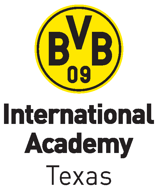 BVBIA logo