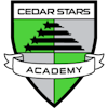 Cedar Stars Academy Hudson Valley logo