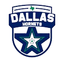 Dallas Hornets logo