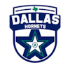 Dallas Hornets logo