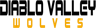 Diablo Valley Futbol Club logo
