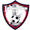 Ironbound Soccer Club logo