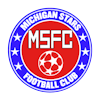 Michigan Stars Elite logo