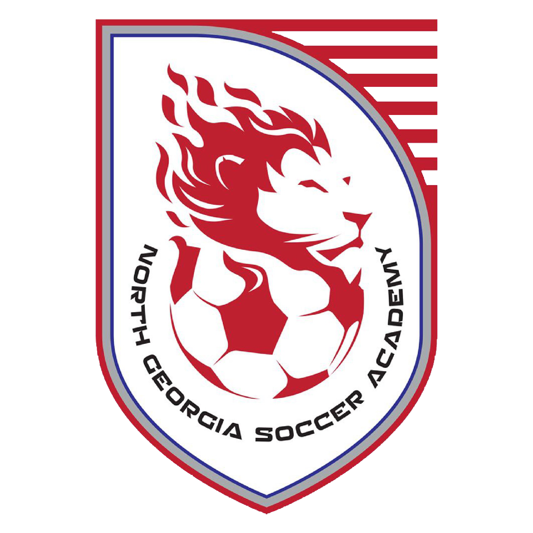 North Georgia Soccer Academy logo