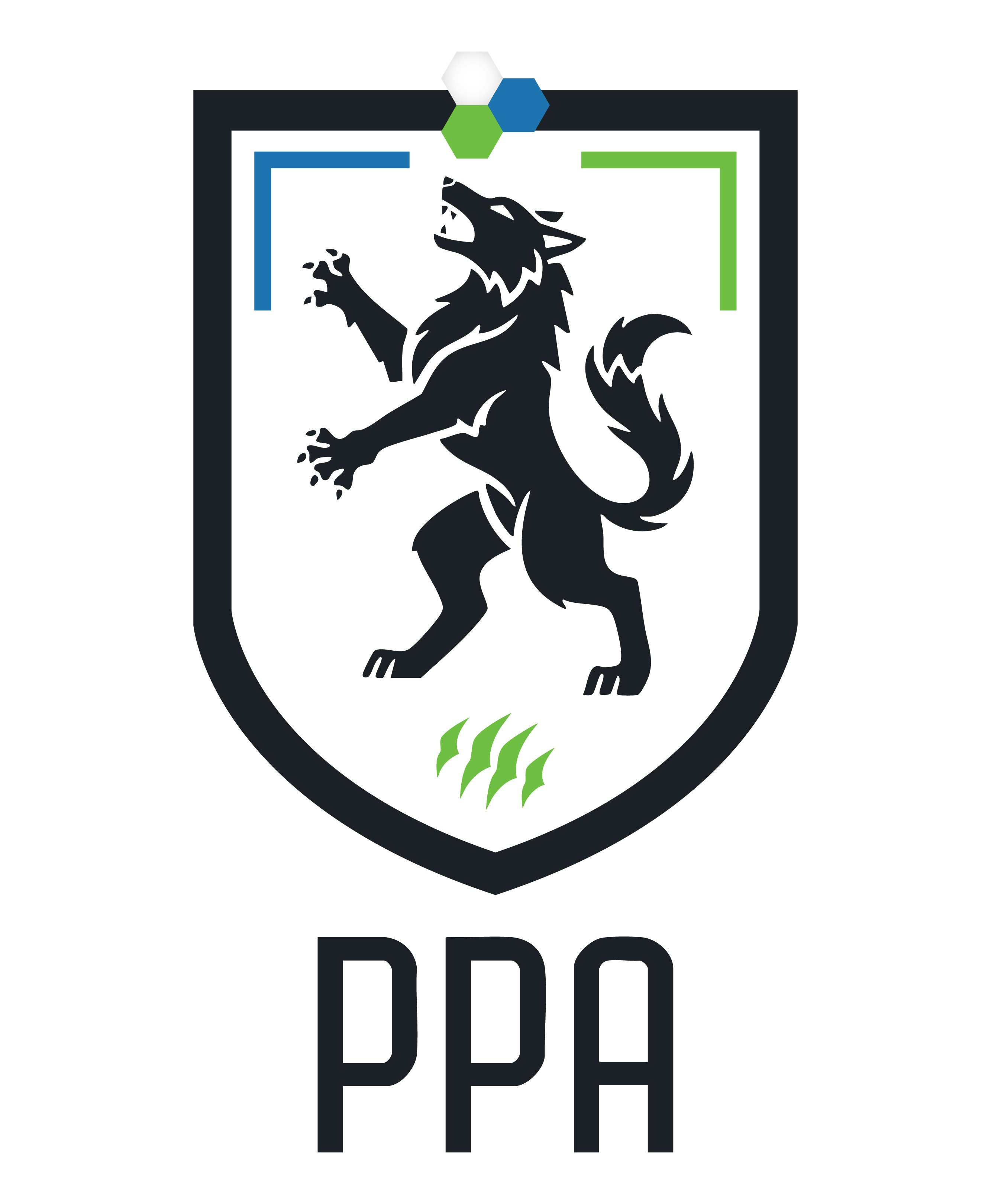 The Player Progression Academy logo