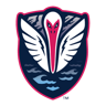 Tormenta FC Academy logo