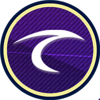 Valley Surf logo