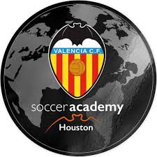 VCF HOUSTON ECNL RL STXCL B2013/14 logo