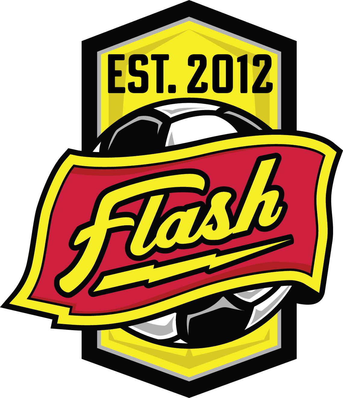 WNY Flash logo